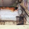 Photopaintings